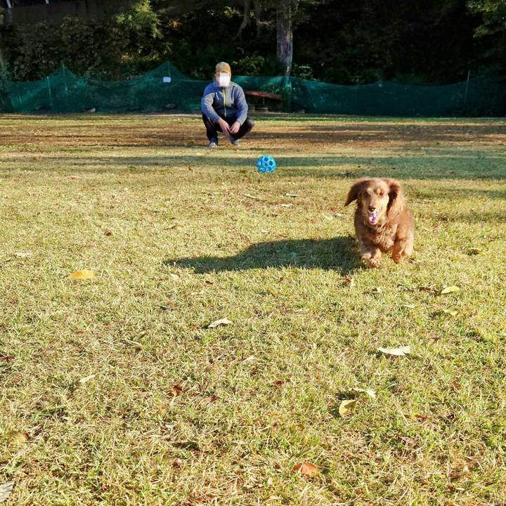 D00d2e9a 2e9f 487d 8b78 6778558a0a69 1731116258459