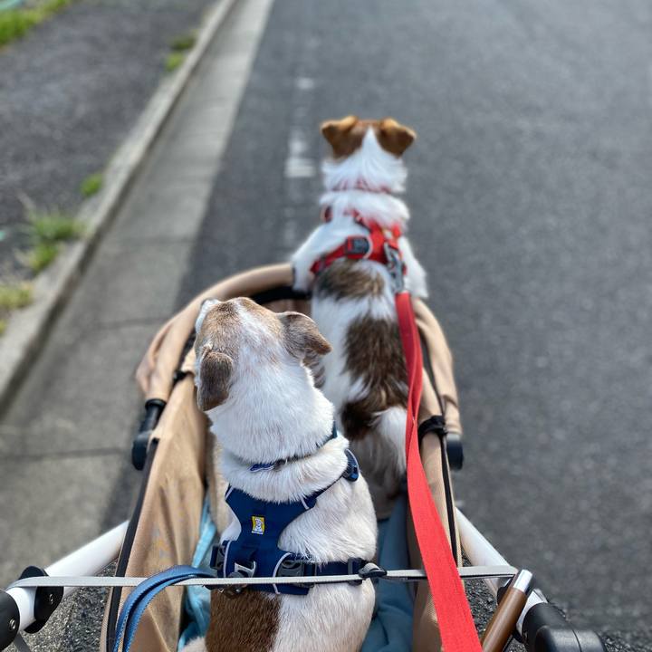 D00d6ca4 7c66 4e9c a787 22a1029444f5 1651908792093