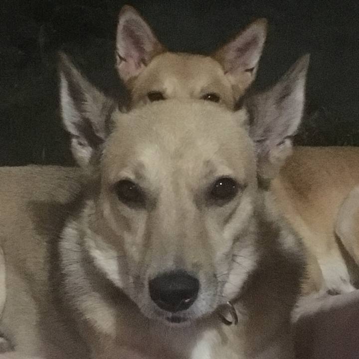 D00de40e 2573 4f3d 9c94 c2e9361ff529 1531673798887