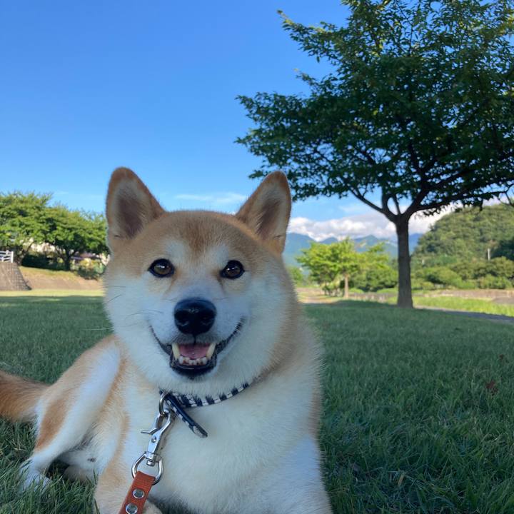 D00e1876 16ea 4234 9052 8677f141587f 1693034829238