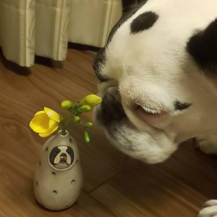 D00e3f0b 1f7e 453a 9309 9fcc52423268 1608384828946