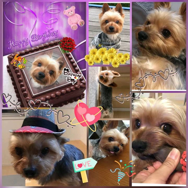 D00e509c e9cb 4bf6 9ee3 e5ec8e05a82d 1527417715732