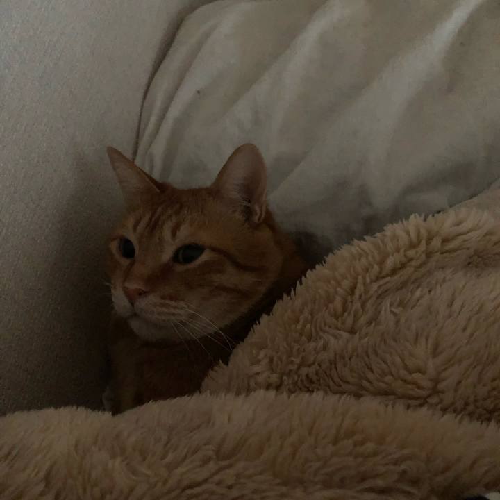 D00e5135 1819 4120 90e1 3e609e4607ed 1583012250869