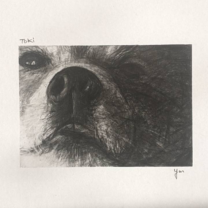 D00e7620 f51e 49b1 89d3 27e349e9099c 1730937291589