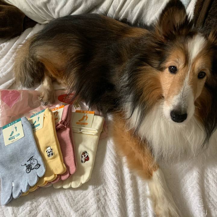 D00e7cf6 5b2b 4d9c afeb f8a9ab2b5802 1585300145679