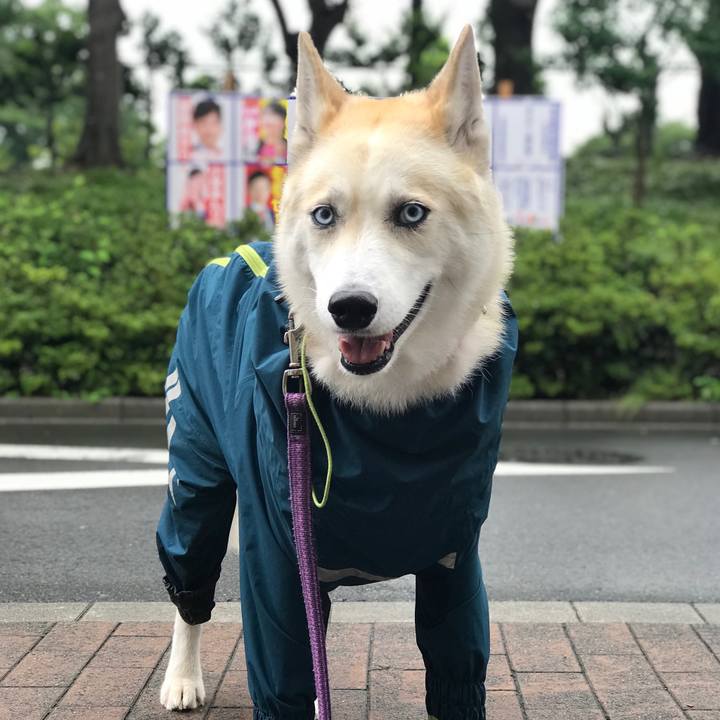 D00e82ca 689e 496c 9aa6 23187411ff94 1625370998561