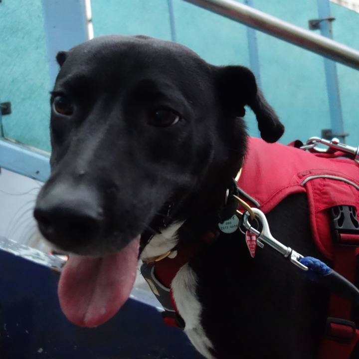 D00eab70 40f9 4892 bc13 3550d2c07385 1591437339798