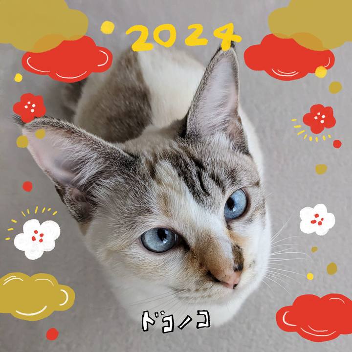 D00ed8cd 7b54 41e6 8964 b05c648fa73e 1704076989181