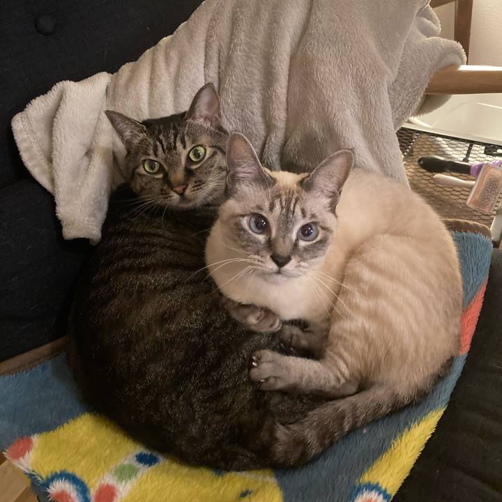 D00edc82 60d3 41a9 8db6 ed5e0a9fbe96 1702203006234