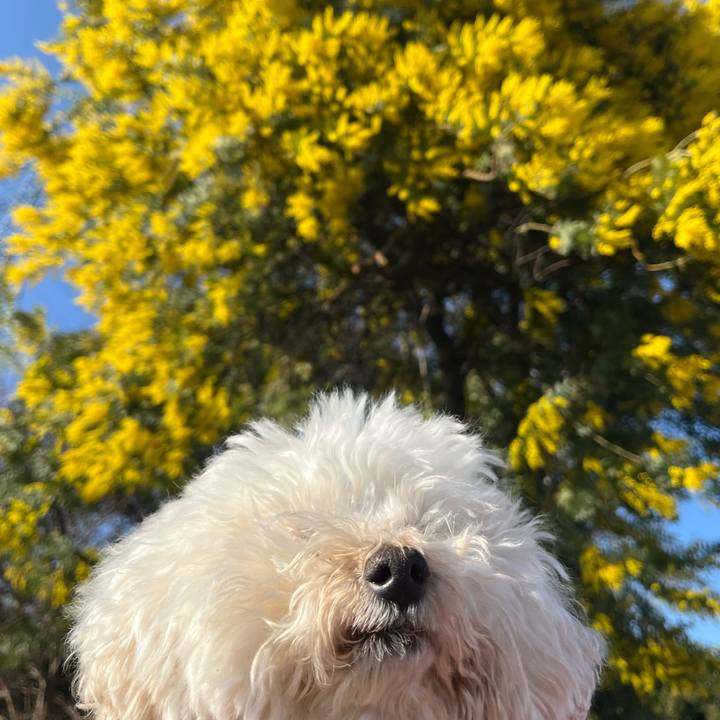 D00ee90b 6d41 4737 b97e d250c837f1dc 1772312117699