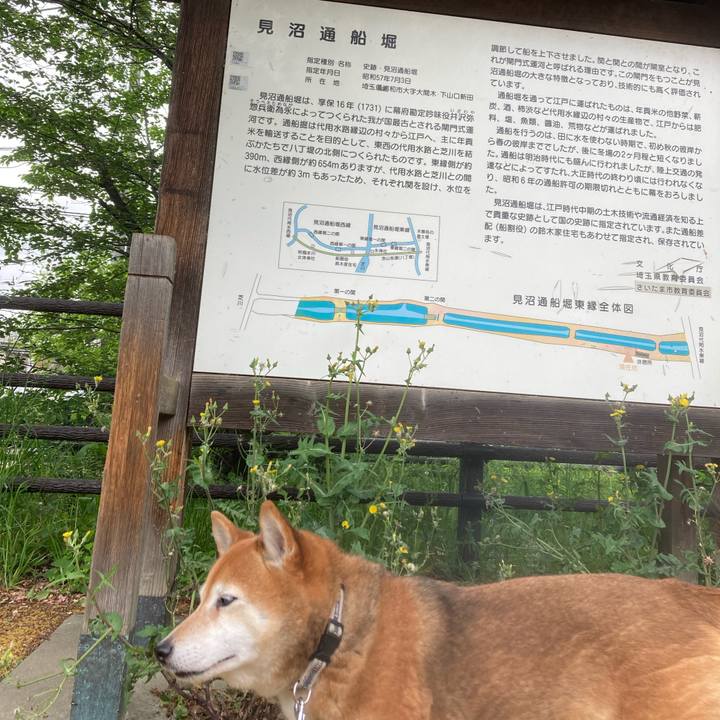 D00ef47a 30ab 4b2f 89fa a2119654cf05 1651205160025