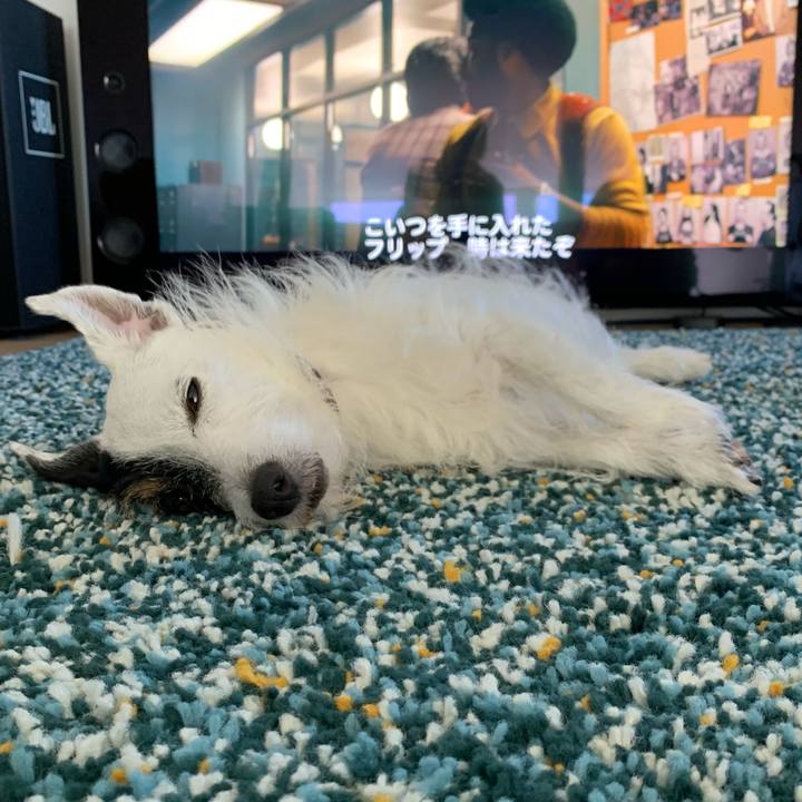 D00effbc de5b 406d be90 40eb1c34f08d 1629353717178