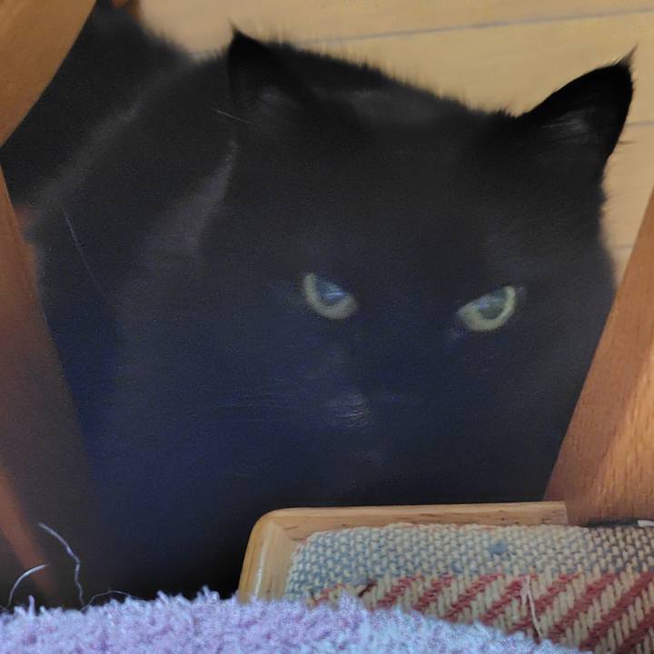 D00f4d21 d183 442a a410 3da3768e423f 1762691938953