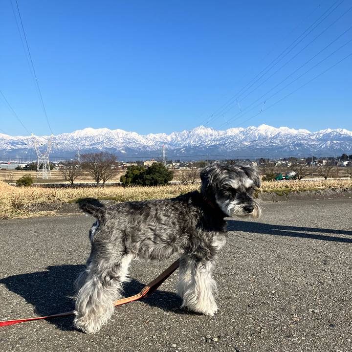 D00f8180 eedc 40b4 a6f7 72c53ace05fd 1771855841223