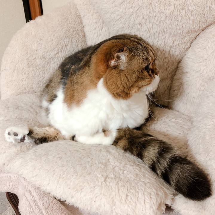 D00f9dc2 ad8e 430b 9fbc f295eb8e8589 1577628518075