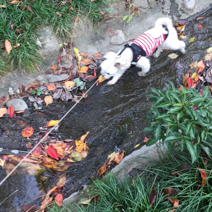 D00fbda4 a33f 4f47 8eb6 8018b89000ed 1542522590514