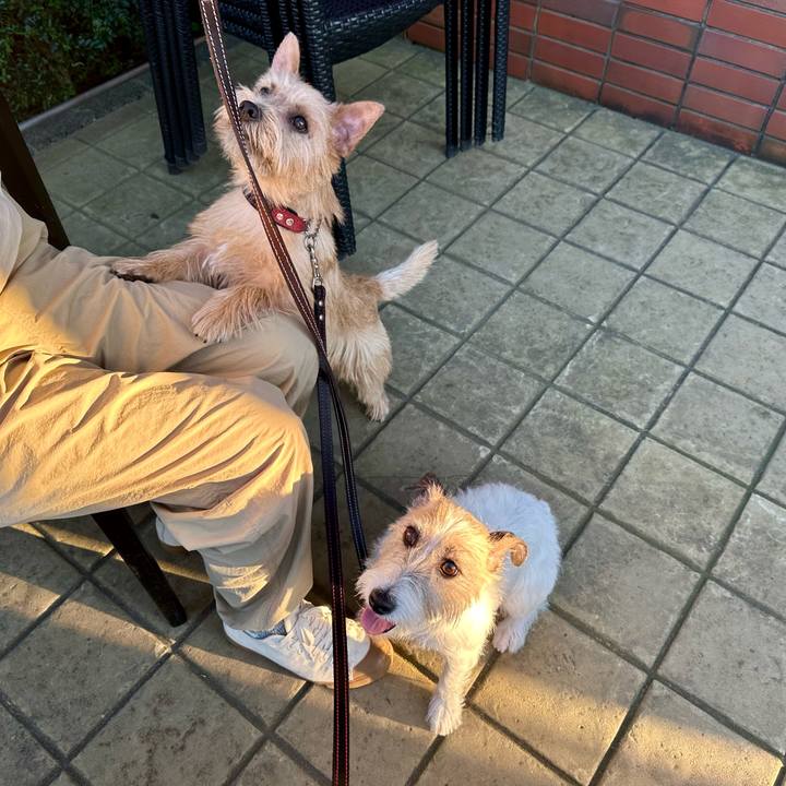 D00fd8aa f8e5 4d01 ab99 2c1cd7011a42 1728828100622