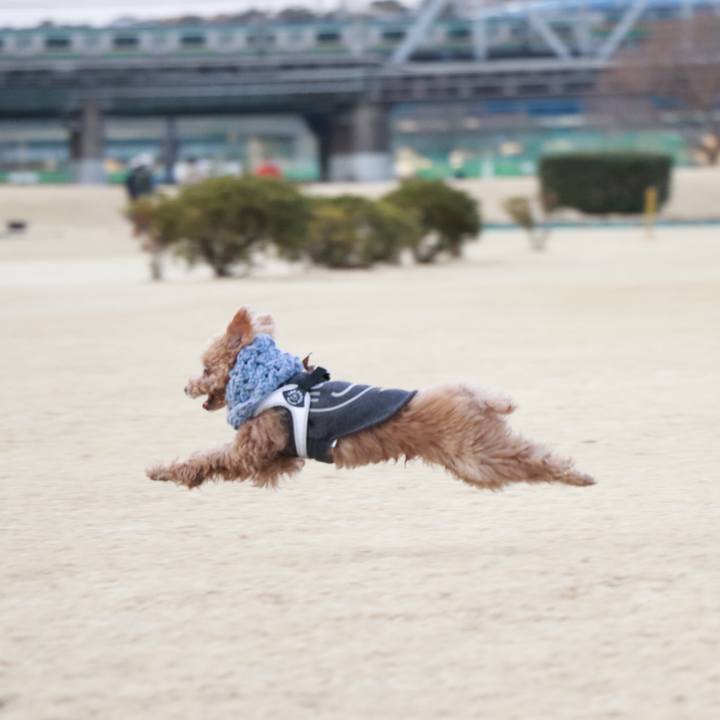 D00fe736 9f06 43db 9254 4f104043dd55 1614250909676