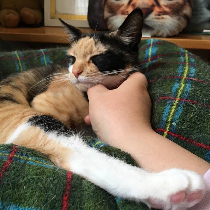 D0103a0c 9d71 4c6f b4a4 92609b7accad 1518409168993