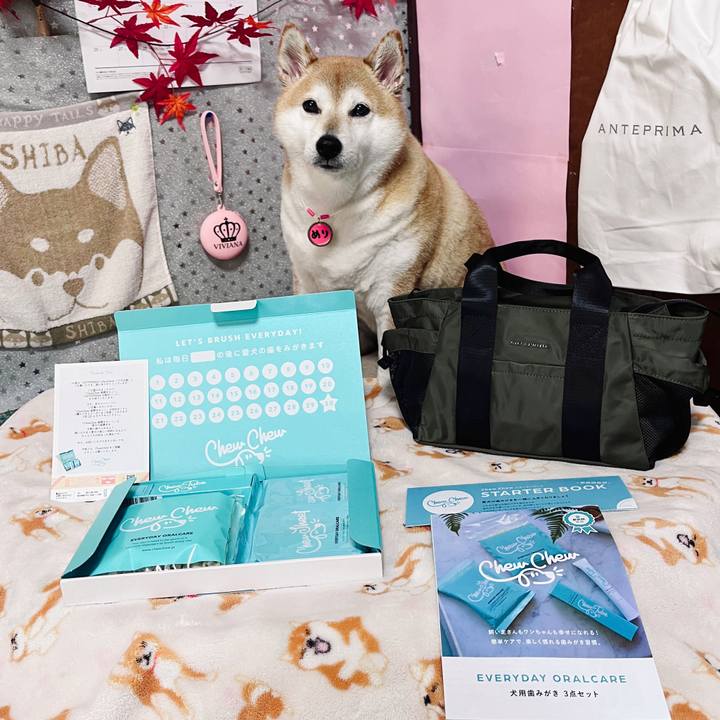 D0108ca8 9047 464b beaf 9b16ae9a5e98 1699770396742