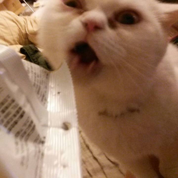 D010b2d0 1f1b 44a9 9b37 f49399159fdb 1507714465501