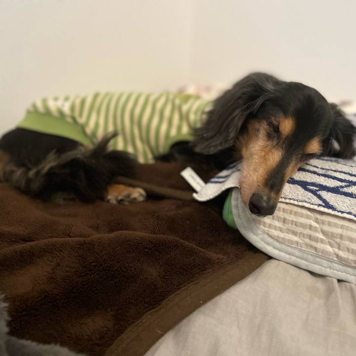 D010f375 afa1 4946 8507 d29fc00c9a89 1703833855214