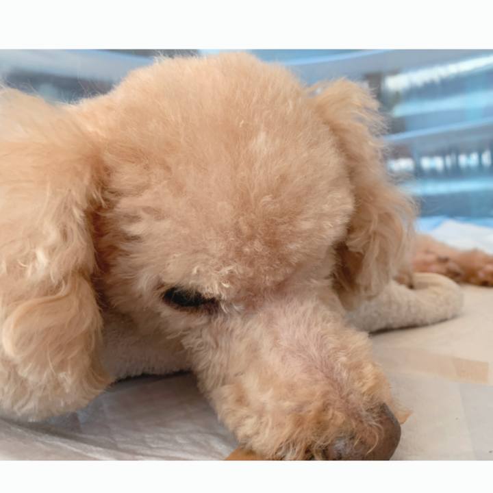 D0110340 584c 4705 adac 48e9a65fbb30 1633579203022