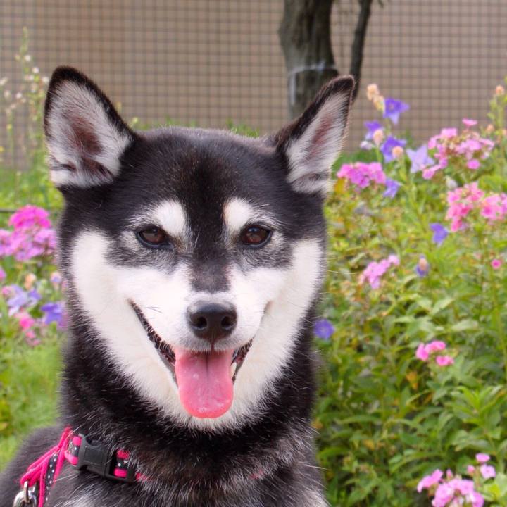 D01139c8 bde3 4352 8474 92ebb5b80ec2 1566251233147