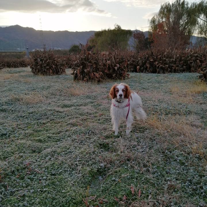 D01143f5 0502 444b b287 57f77655dc3b 1608255346660