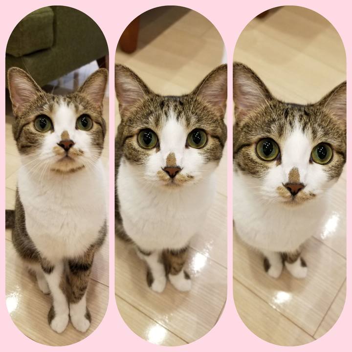 D01146fd fc97 4960 b1a8 8ceb78acd11d 1536986702291