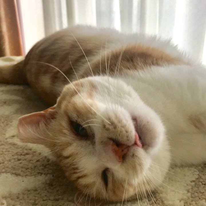 D0118e27 c722 43c8 8d81 dd0365699f45 1558191205660