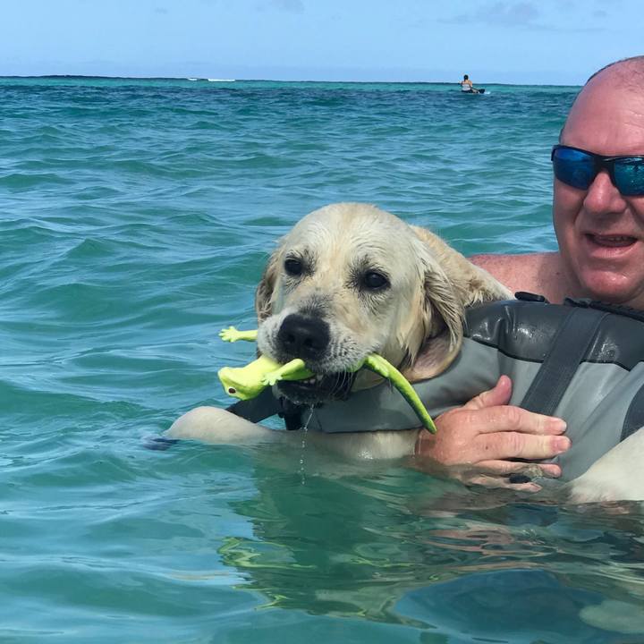 D0119f7c 57e8 4dd5 913c 5a3c70bff0f8 1537764611915