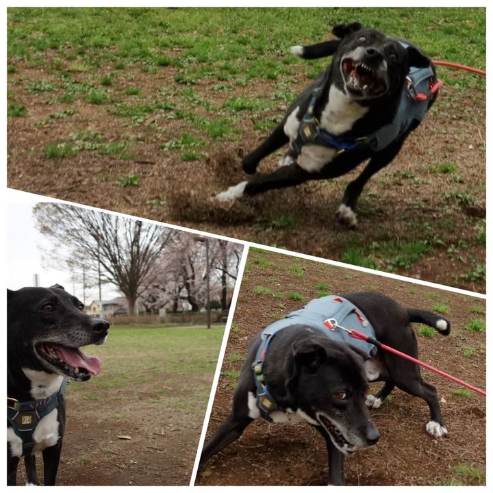 D011c220 f6ba 4e5f 878c b2329655e108 1712105341602