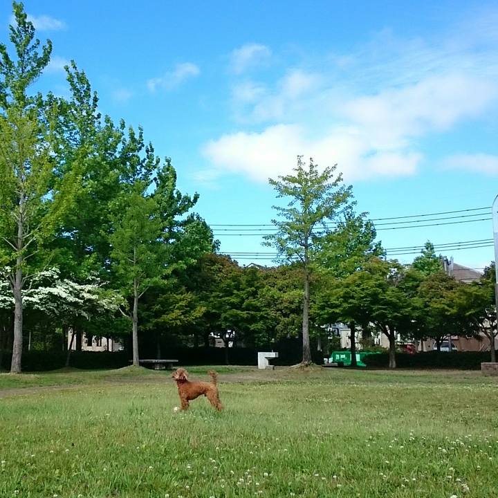 D011c3dc 8481 4b8f 84c1 c096c6b72efb 1528936800068