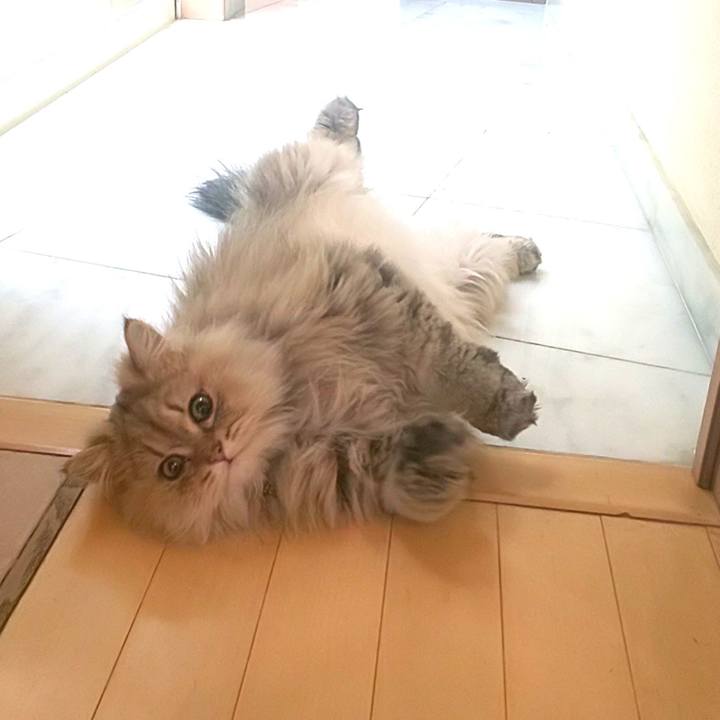 D011ddf2 12aa 4149 887d 61ff91775e17 1587261369189