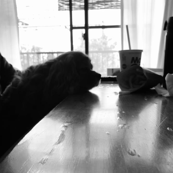 D011fa6b 354f 4c4c a71f c98b15d77f8b 1647669922272