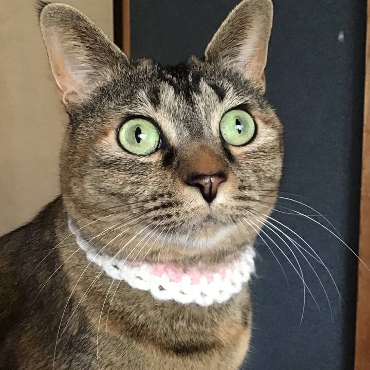 D012027b 70aa 42b2 a891 de4881c3796e 1742090779550