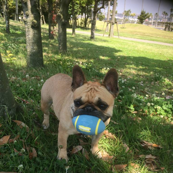 D01233ba 3b5f 4262 81e1 c378a344f978 1667575809676