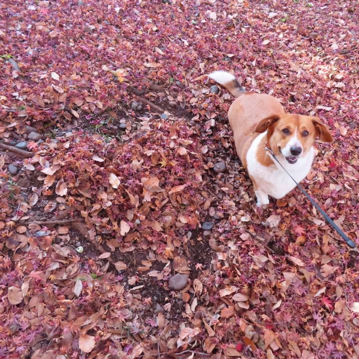 D0125efe 0e02 47ac be62 7e23261faadd 1671152887569