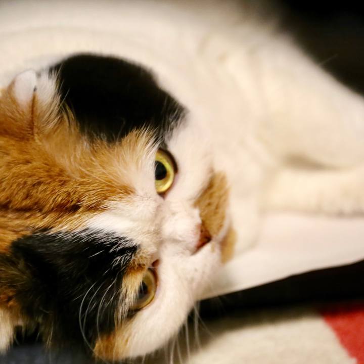 D0126ad1 7d08 4854 8540 c33eff8df279 1562762608571