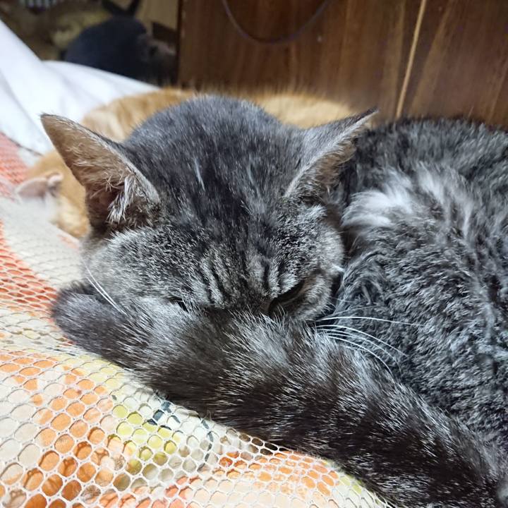 D012886c fe3d 4222 853f b835d528fb52 1580560738224