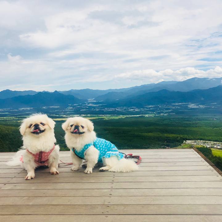 D012ec0a 782b 4a65 b1aa 528557d1fc6c 1569036184548