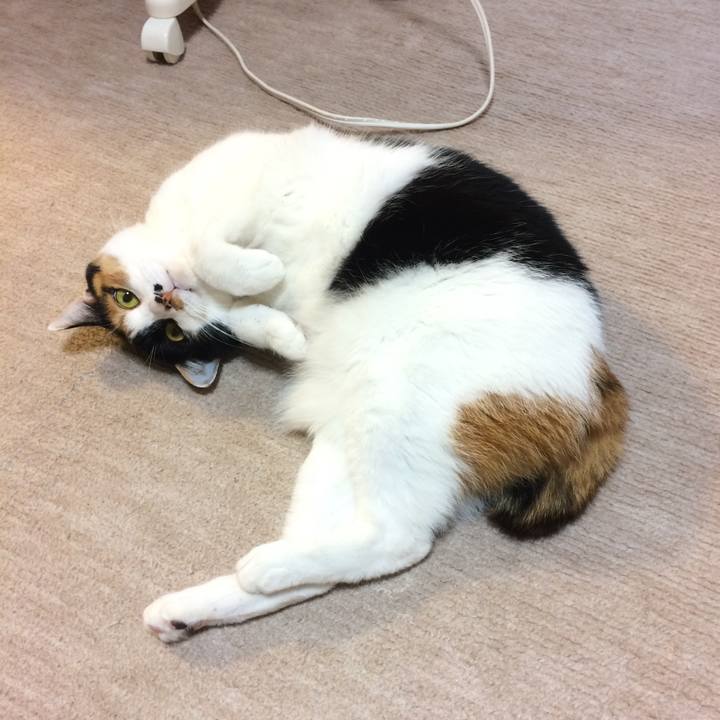 D013032b 94f2 40e6 b8d3 3a0ca151e27f 1551996698329