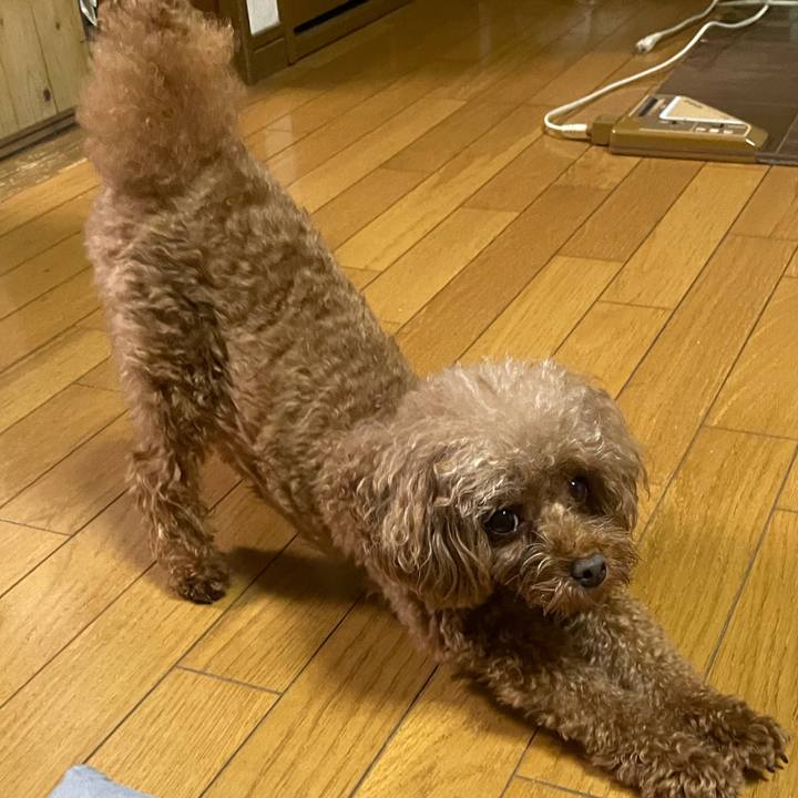 D0138654 4e19 4269 8419 0ac6343e6f12 1631954016349