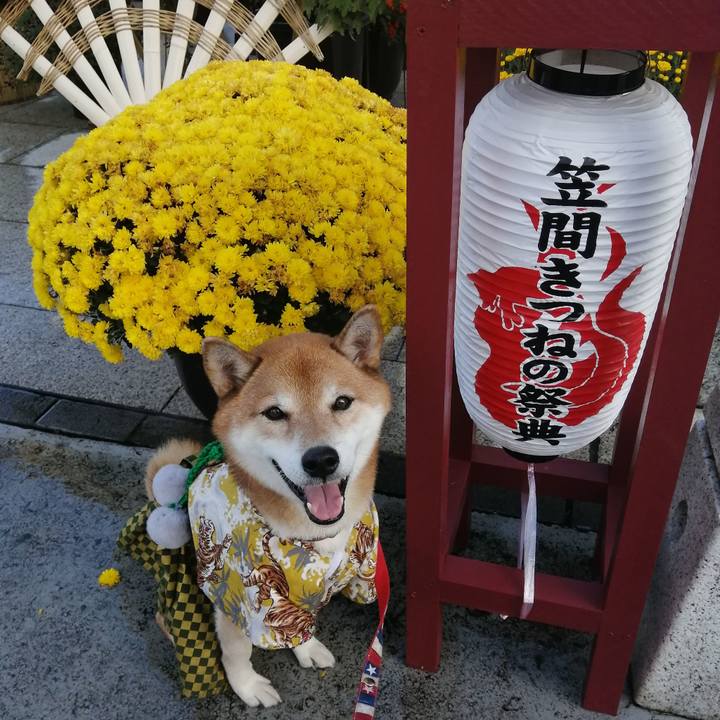 D013b805 9fb0 433f baa7 b106be2ea0a7 1667964060488