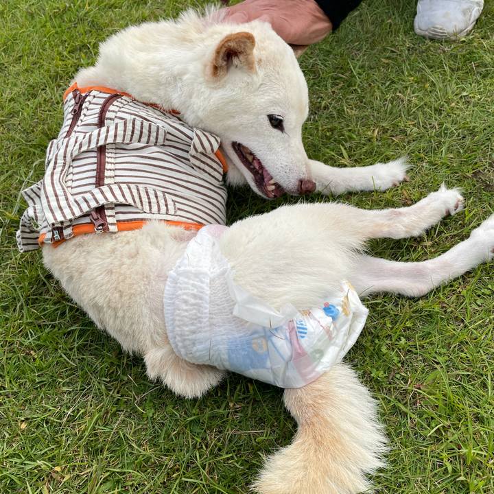 D013d0e4 c0aa 4640 a59c dfdaa9210e33 1665571828756