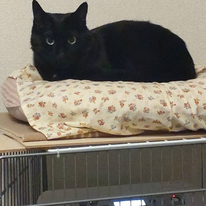 D013dbb2 43ac 42df 816c 973f0a54ad3b 1704007614164