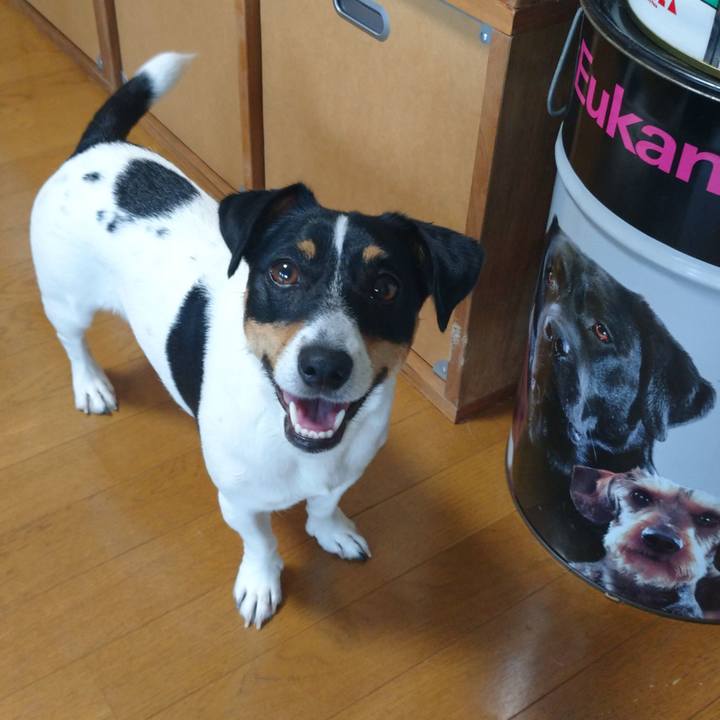 D013e58a 9d74 47c0 8ad2 beea386b0a7e 1599051193342