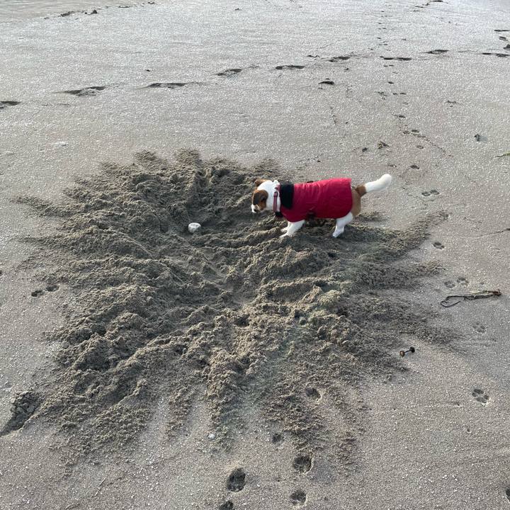 D013ffdf 76d7 4fd1 a53f dfdf77995741 1704757746585