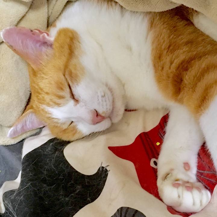 D014076b 3575 4dab 9da5 df15ae9495cf 1561781043574